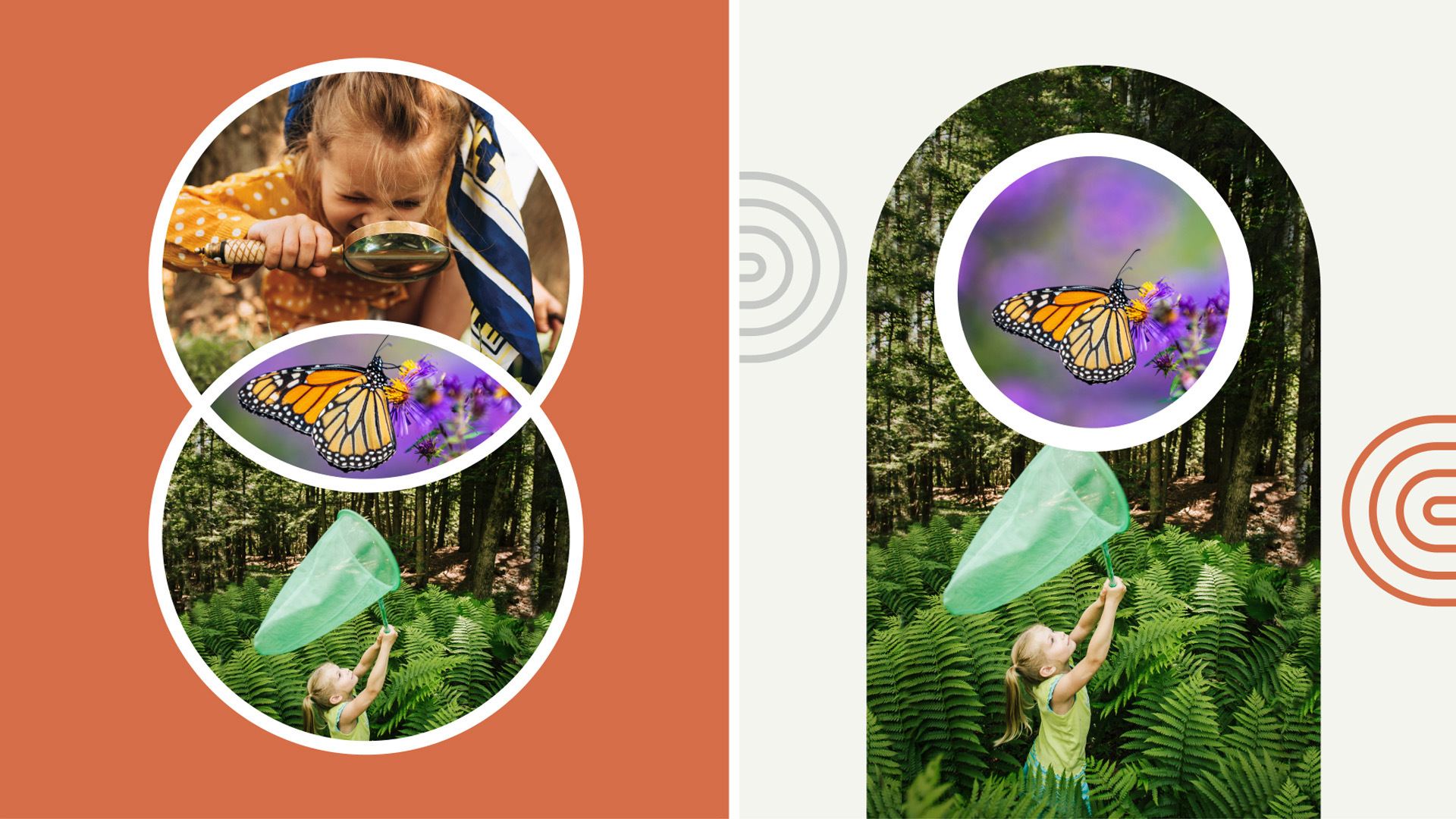 What's new in Photoshop Elements 2023 What's new in Photoshop Elements 2023